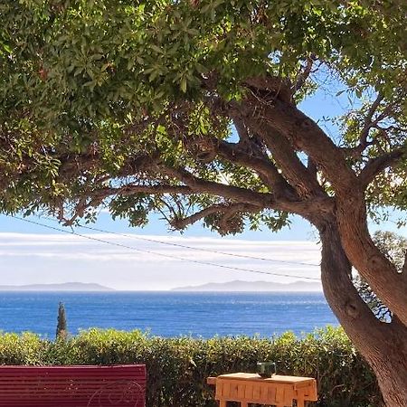 Bed and Breakfast L'Arbousier Le Le Rayol-Canadel-sur-Mer Esterno foto