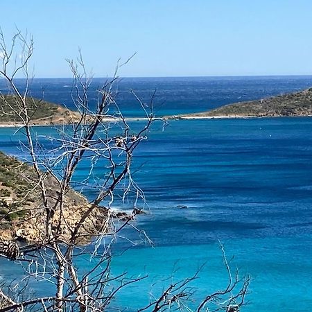 Bed and Breakfast L'Arbousier Le Le Rayol-Canadel-sur-Mer Esterno foto