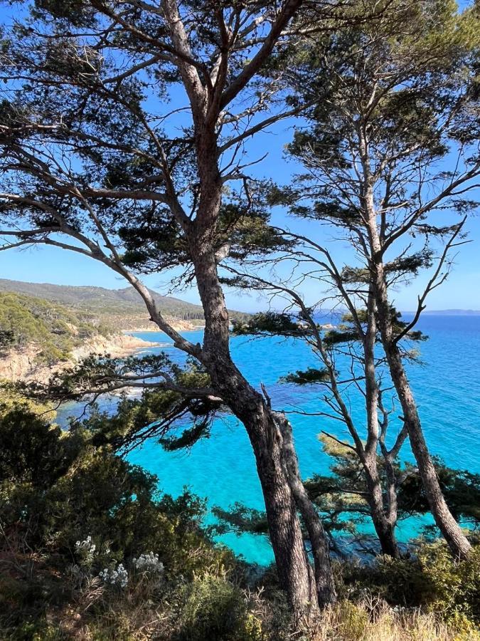 Bed and Breakfast L'Arbousier Le Le Rayol-Canadel-sur-Mer Esterno foto