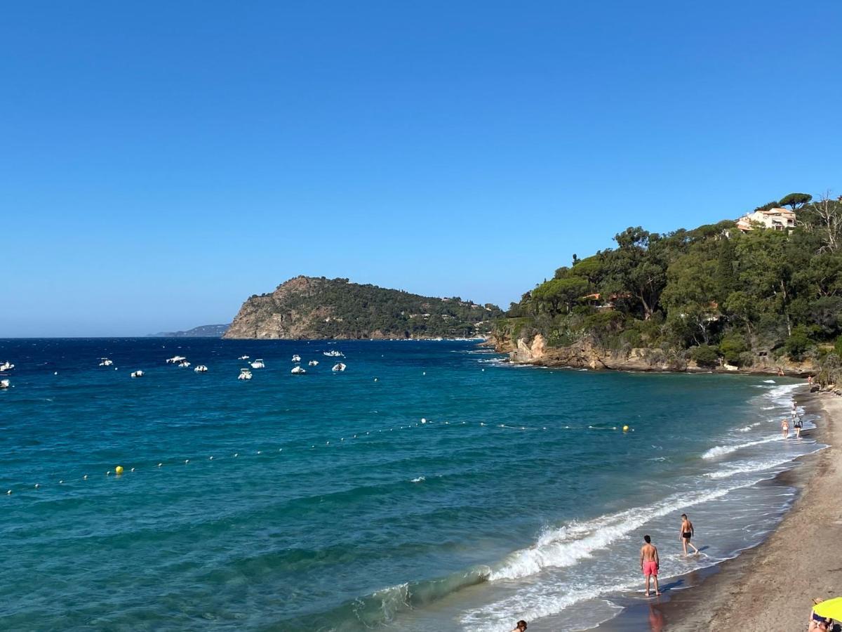 Bed and Breakfast L'Arbousier Le Le Rayol-Canadel-sur-Mer Esterno foto